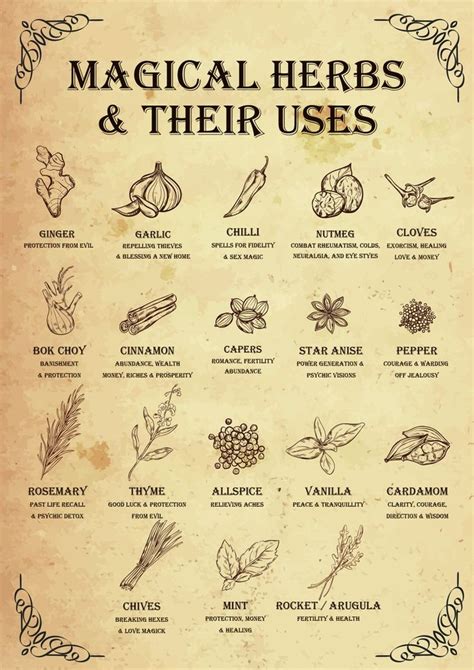 Herbal Magick: Unveiling the Meanings Behind Witch Herbs